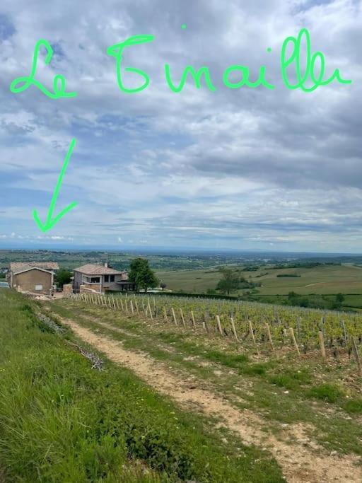 Le Tinailler Grand Standing Au Coeur Des Vignes Villa Prisse Luaran gambar