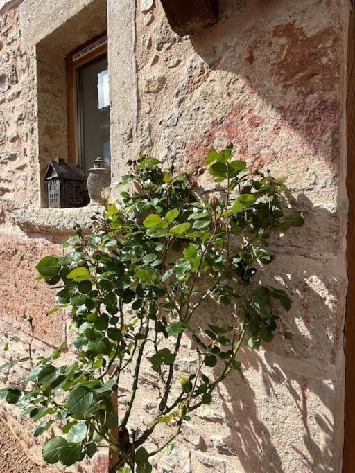 Le Tinailler Grand Standing Au Coeur Des Vignes Villa Prisse Luaran gambar