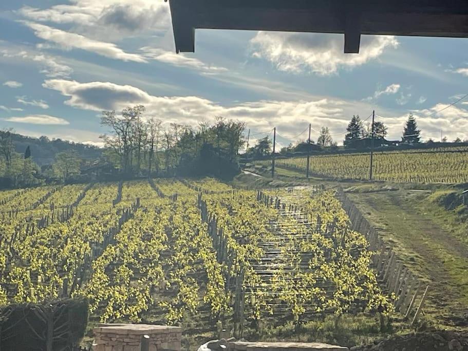 Le Tinailler Grand Standing Au Coeur Des Vignes Villa Prisse Luaran gambar